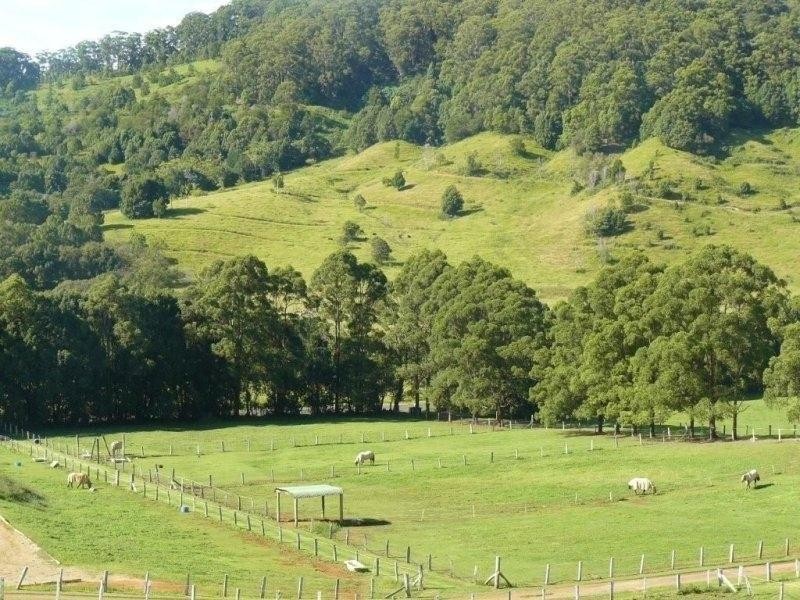 765 Cudgera Creek Road, Cudgera Creek NSW 2484