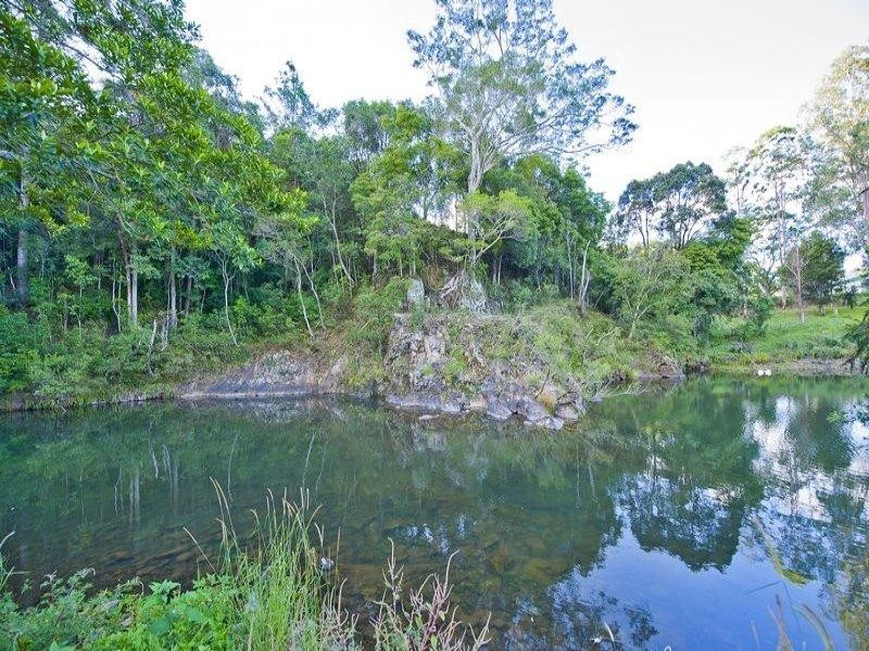 921 Tyalgum Road, Eungella NSW 2484