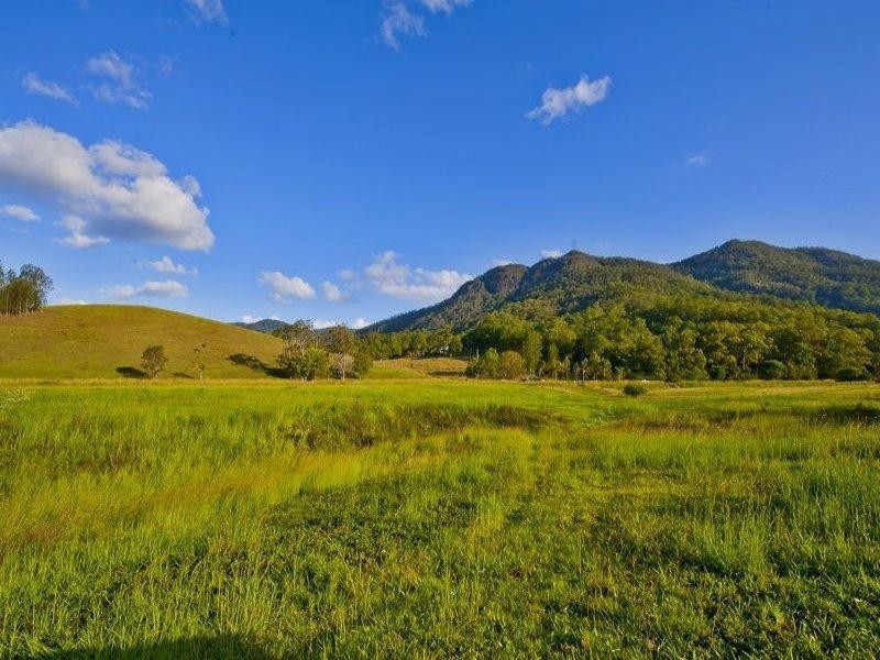 921 Tyalgum Road, Eungella NSW 2484