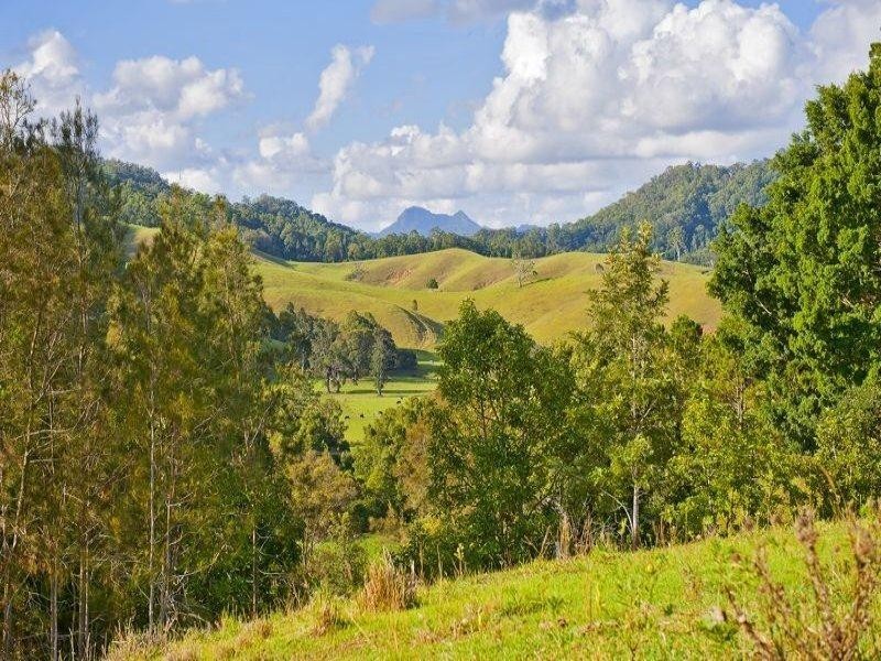 921 Tyalgum Road, Eungella NSW 2484