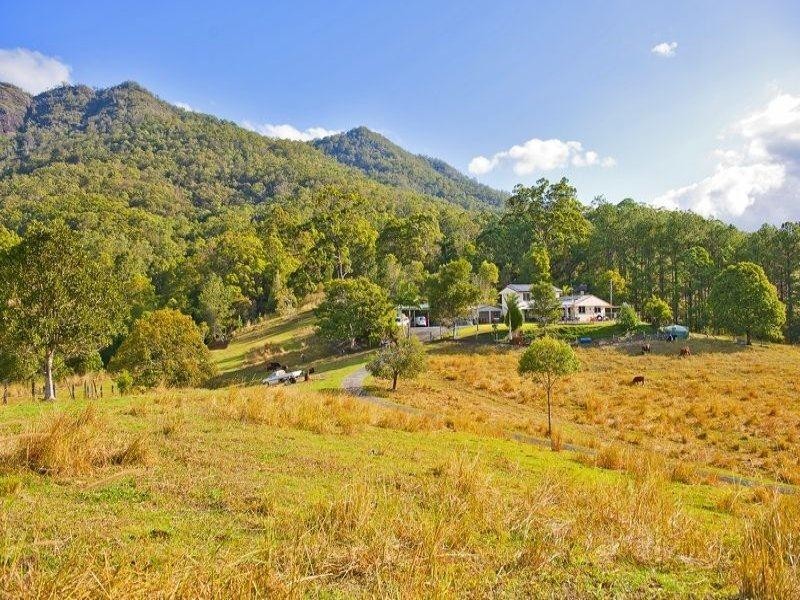 921 Tyalgum Road, Eungella NSW 2484