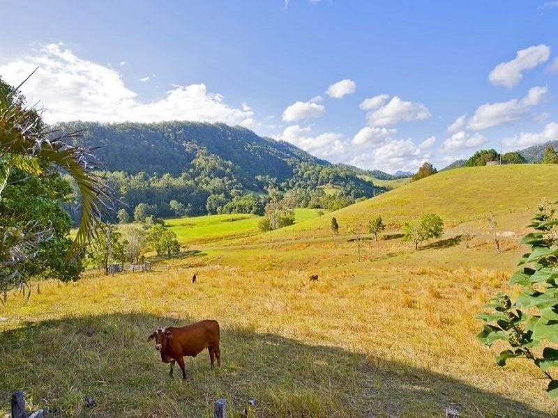 921 Tyalgum Road, Eungella NSW 2484