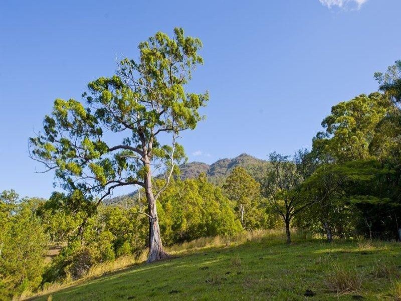 921 Tyalgum Road, Eungella NSW 2484