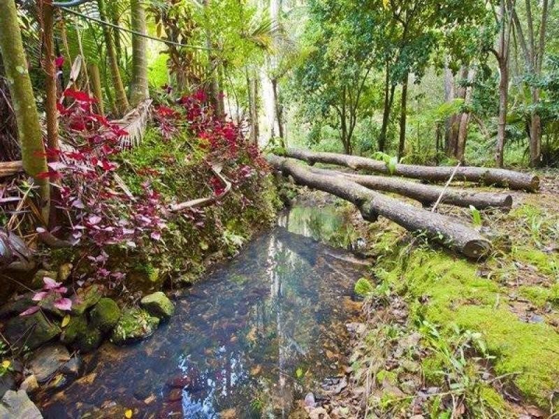 24 Chevell Place, Uki NSW 2484