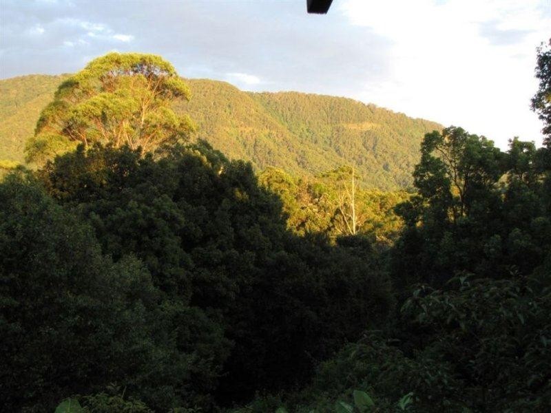 10 Robb Road, Blue Knob NSW 2480