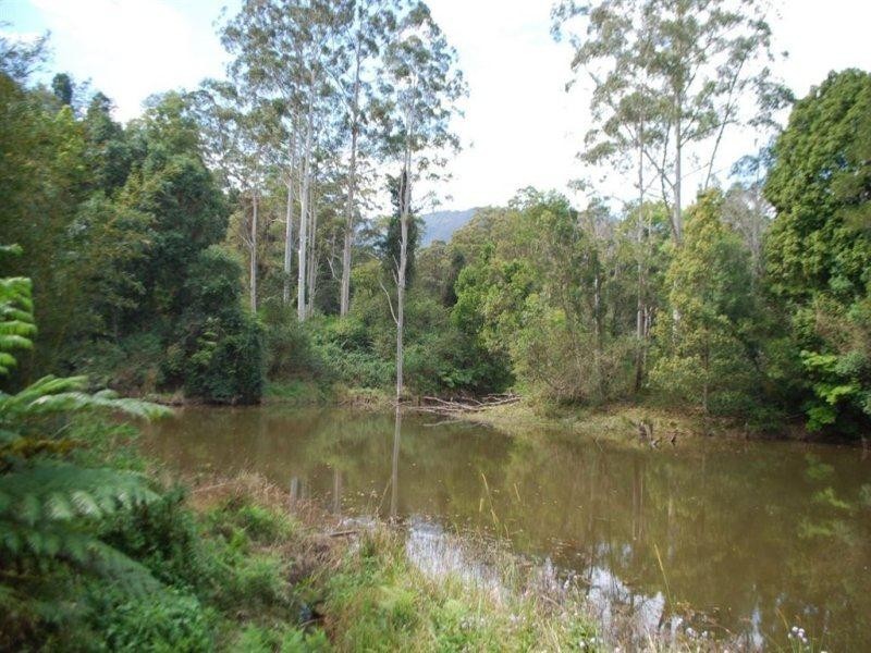 10 Robb Road, Blue Knob NSW 2480