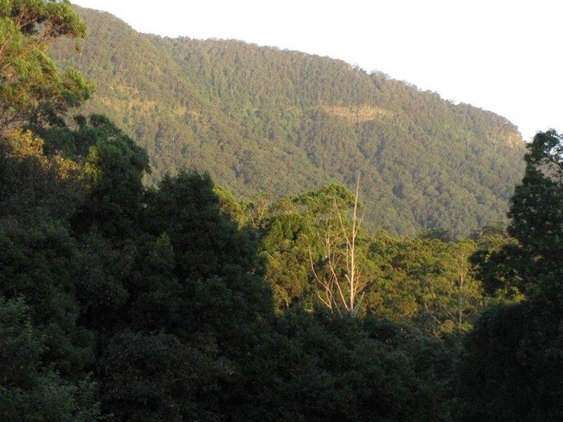 10 Robb Road, Blue Knob NSW 2480