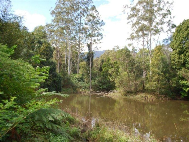 10 Robb Road, Blue Knob NSW 2480