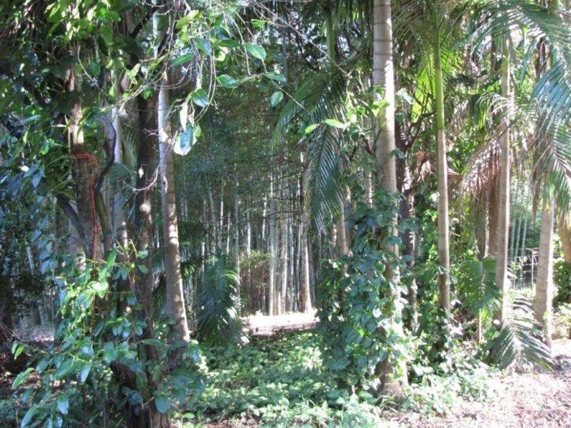 10 Robb Road, Blue Knob NSW 2480