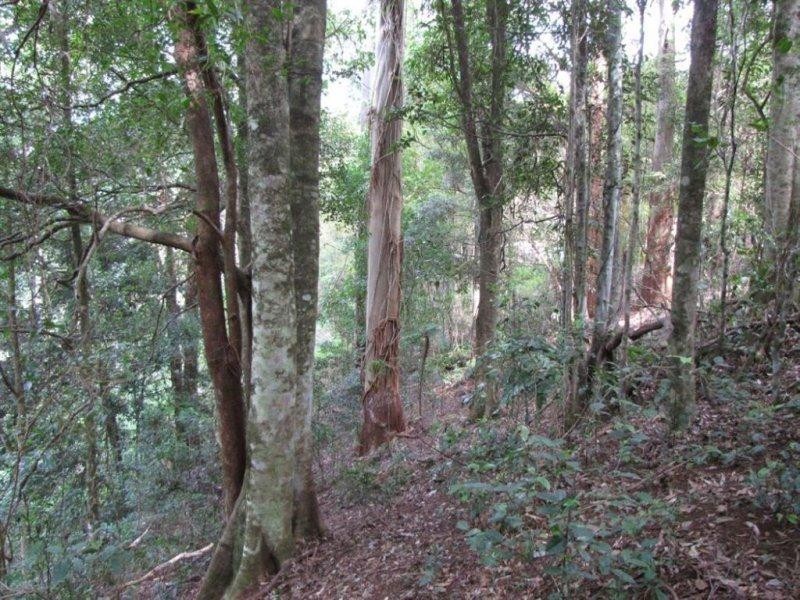 10 Robb Road, Blue Knob NSW 2480