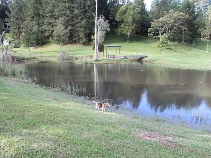 631 Nobbys Creek Road, Nobbys Creek NSW 2484