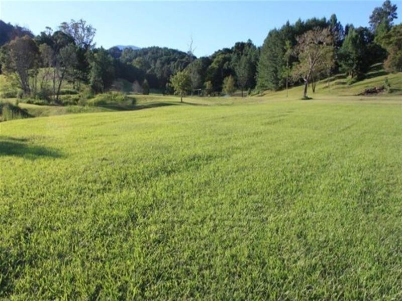 631 Nobbys Creek Road, Nobbys Creek NSW 2484