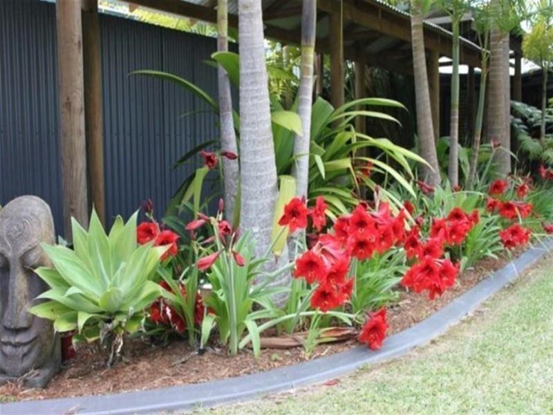 631 Nobbys Creek Road, Nobbys Creek NSW 2484