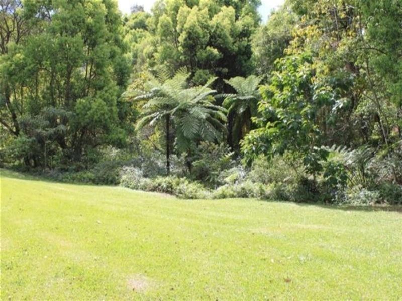 631 Nobbys Creek Road, Nobbys Creek NSW 2484