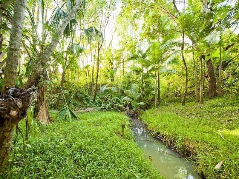 274 Crabbes Creek Road, Crabbes Creek NSW 2483