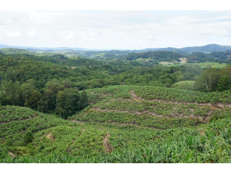 761 Smiths Creek Road, Stokers Siding NSW 2484