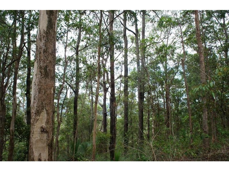 761 Smiths Creek Road, Stokers Siding NSW 2484