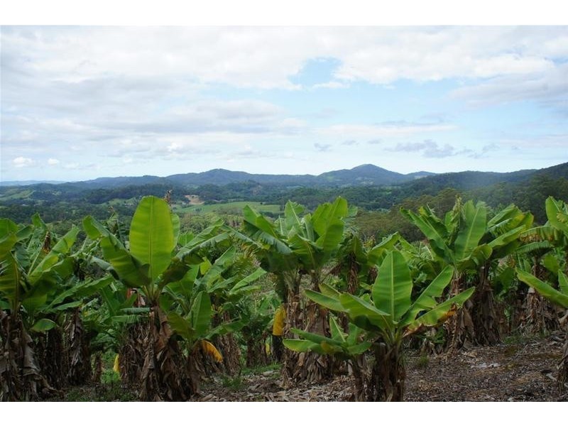 761 Smiths Creek Road, Stokers Siding NSW 2484