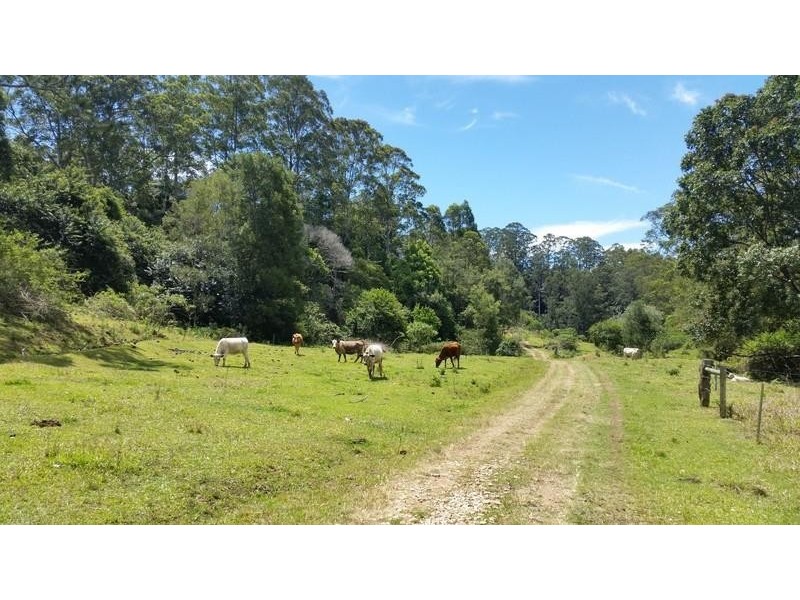 6 Caddell Road, Mount Burrell NSW 2484