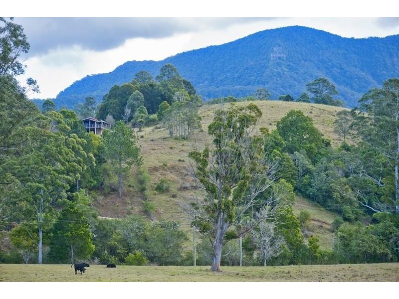 6 Caddell Road, Mount Burrell NSW 2484