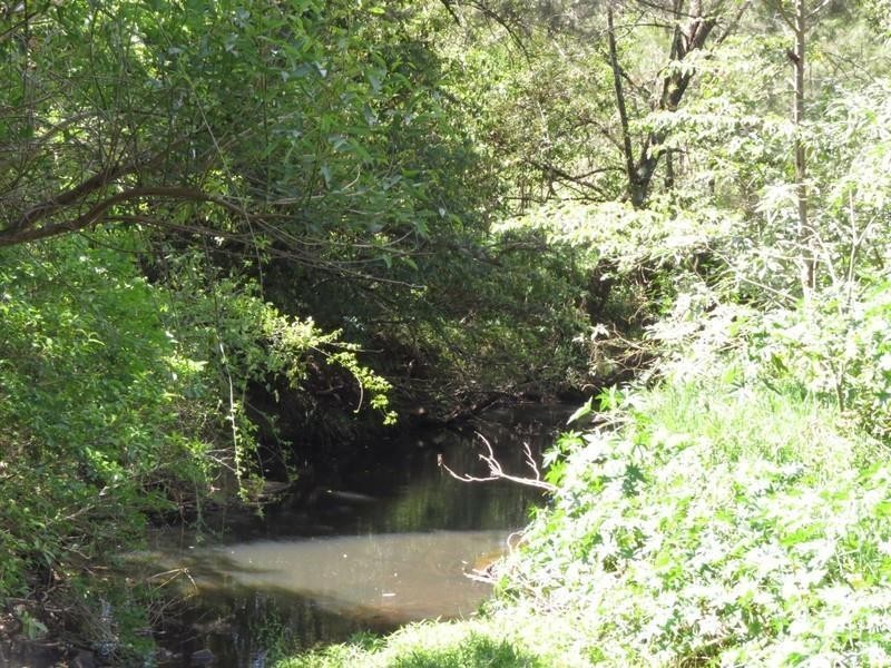 6 Caddell Road, Mount Burrell NSW 2484