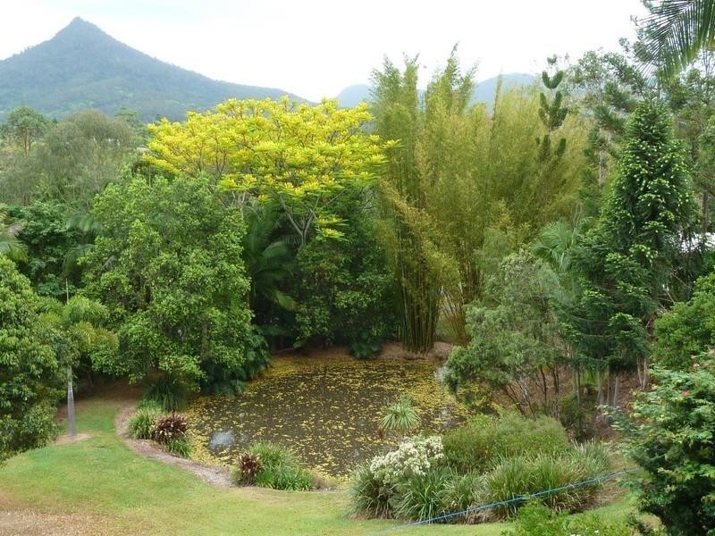 67 Rowlands Creek Road, Uki NSW 2484