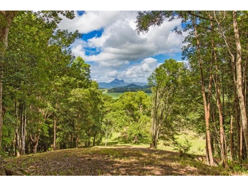 14 Wedgetail Court, Dulguigan NSW 2484