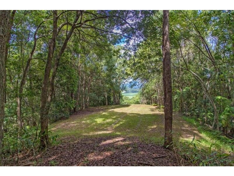 14 Wedgetail Court, Dulguigan NSW 2484