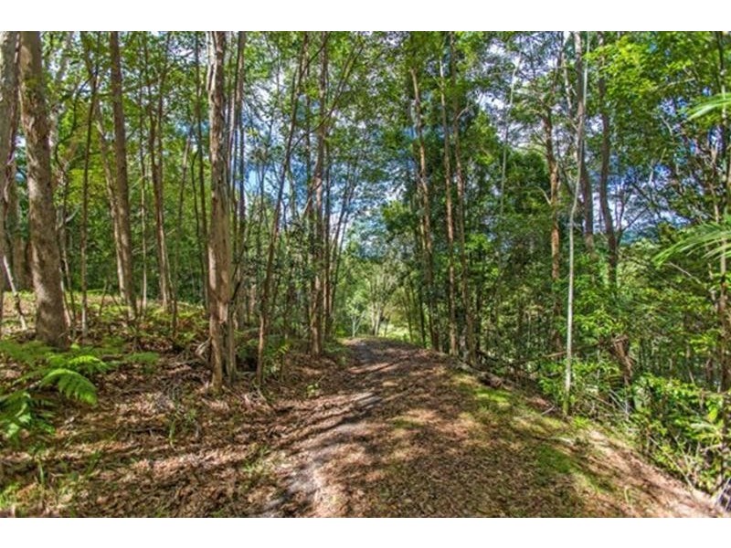 14 Wedgetail Court, Dulguigan NSW 2484