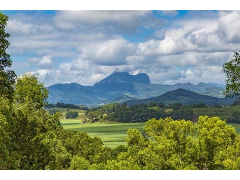 14 Wedgetail Court, Dulguigan NSW 2484