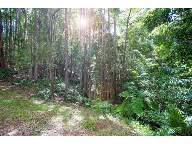 14 Wedgetail Court, Dulguigan NSW 2484