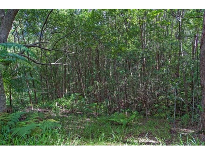 14 Wedgetail Court, Dulguigan NSW 2484