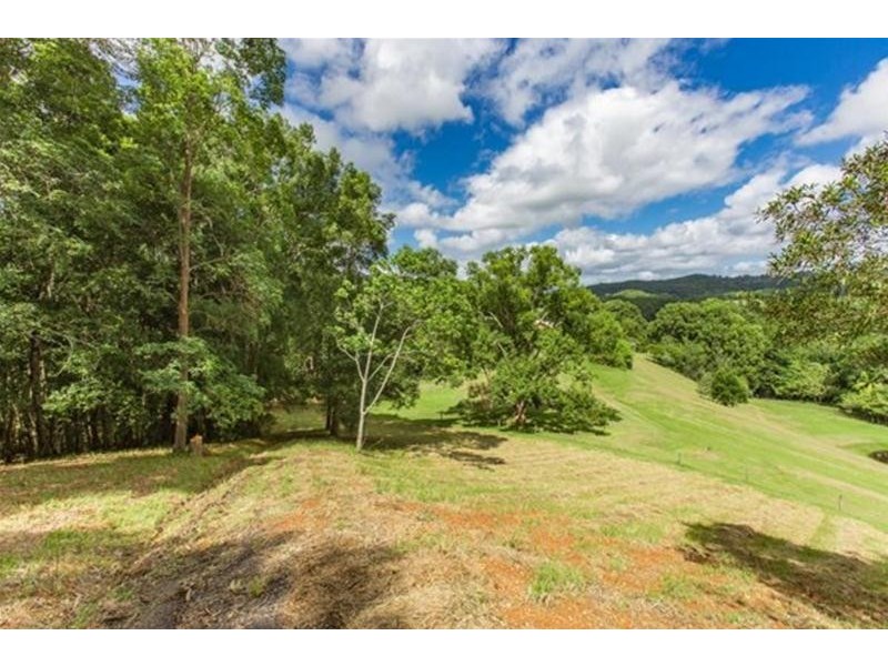 14 Wedgetail Court, Dulguigan NSW 2484