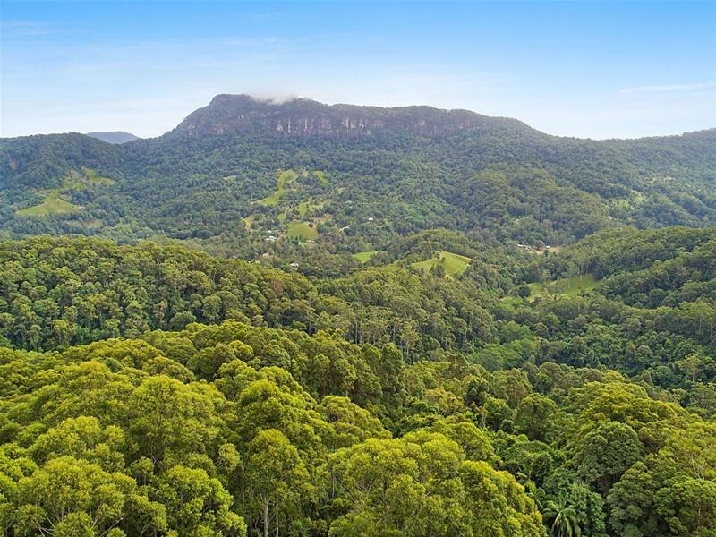 848 Tomewin Mountain Road, Tomewin NSW 2484