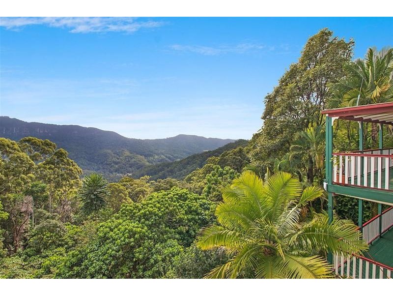 848 Tomewin Mountain Road, Tomewin NSW 2484