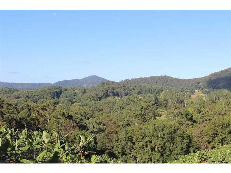 729 Smiths Creek Road, Stokers Siding, Murwillumbah NSW 2484