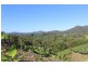 729 Smiths Creek Road, Stokers Siding, Murwillumbah NSW 2484