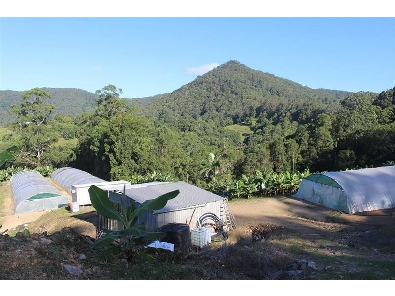 729 Smiths Creek Road, Stokers Siding, Murwillumbah NSW 2484