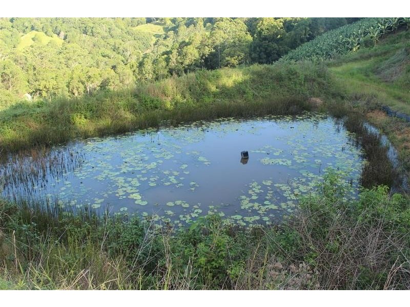 729 Smiths Creek Road, Stokers Siding, Murwillumbah NSW 2484