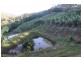 729 Smiths Creek Road, Stokers Siding, Murwillumbah NSW 2484