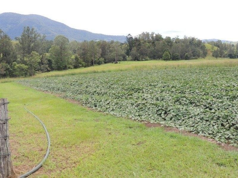 54 Starlight Way, Pumpenbil NSW 2484