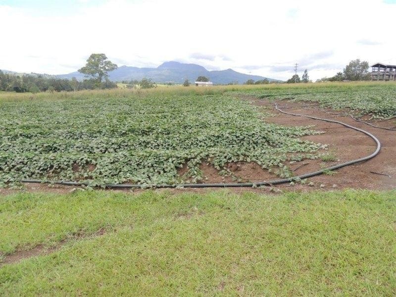 54 Starlight Way, Pumpenbil NSW 2484