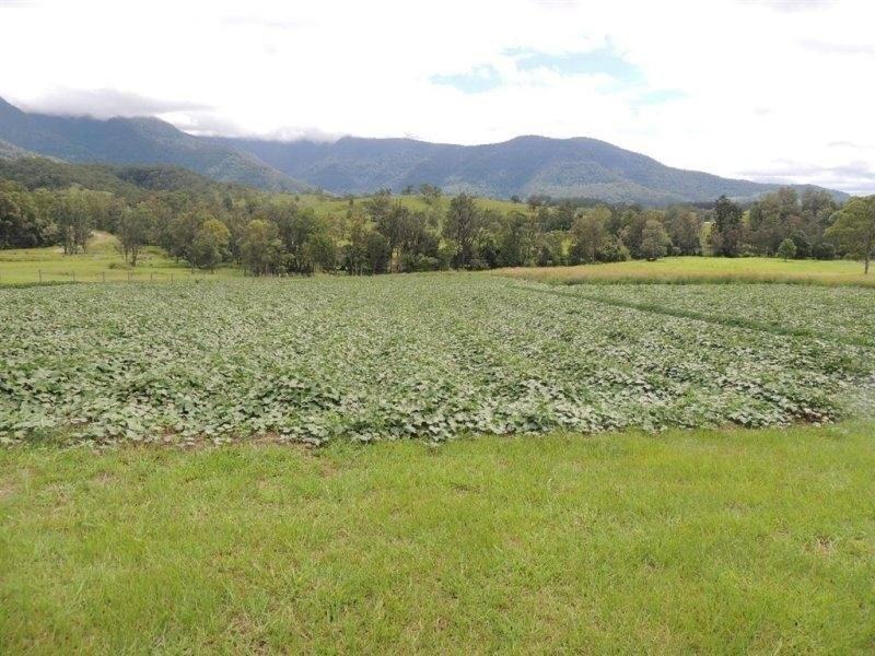 54 Starlight Way, Pumpenbil NSW 2484