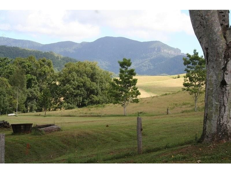 44 Birrigan Close, Nobbys Creek NSW 2484