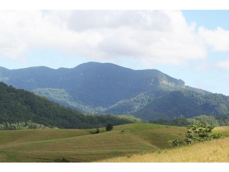 44 Birrigan Close, Nobbys Creek NSW 2484