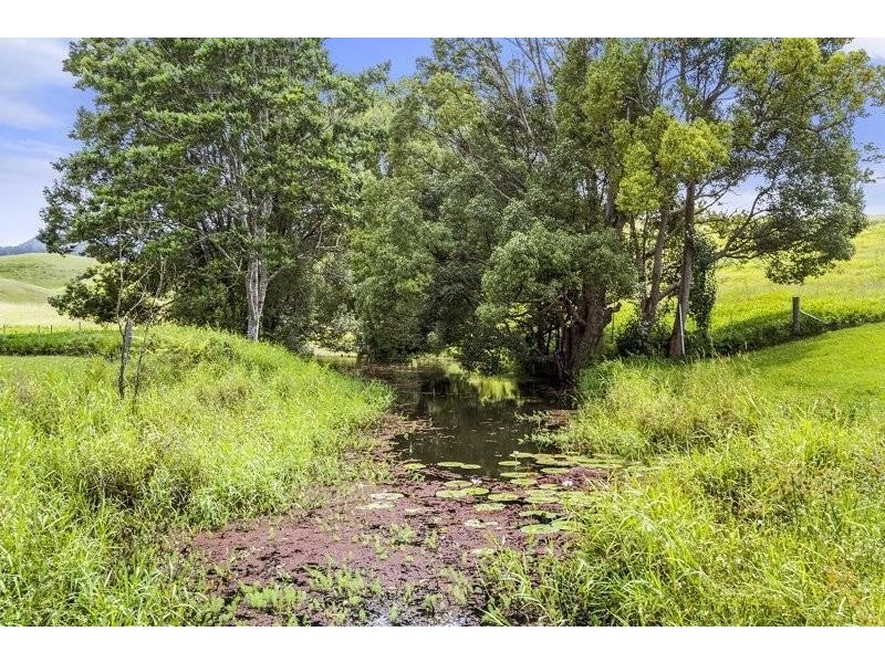 44 Birrigan Close, Nobbys Creek NSW 2484