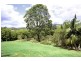 220 Nobbys Creek Road, Nobbys Creek NSW 2484