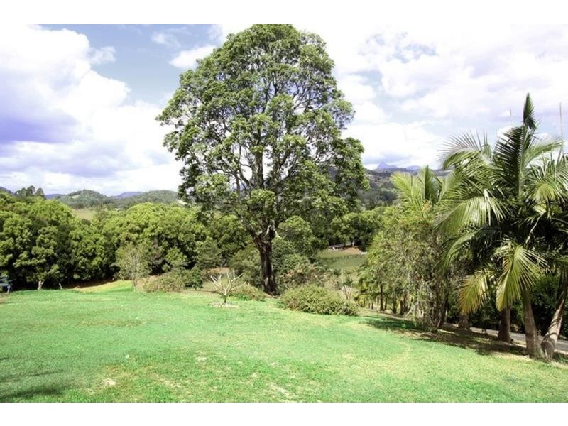 220 Nobbys Creek Road, Nobbys Creek NSW 2484