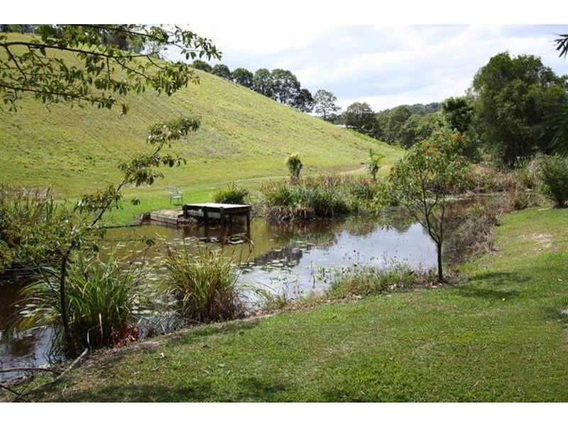 220 Nobbys Creek Road, Nobbys Creek NSW 2484