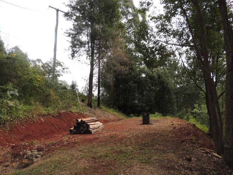 94 Boormans Road, Limpinwood NSW 2484